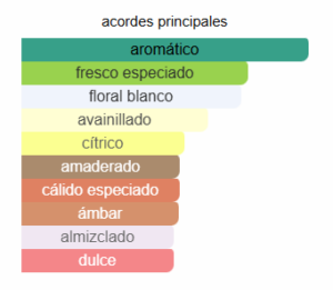 ADIDAS CHAMPION LEAGUE ARENA