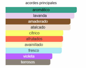 ADIDAS CHAMPIONS LEAGUE