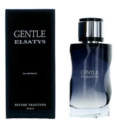 GENTLE ELSATYS HOMBRE 100ML EDP REYANE PARIS